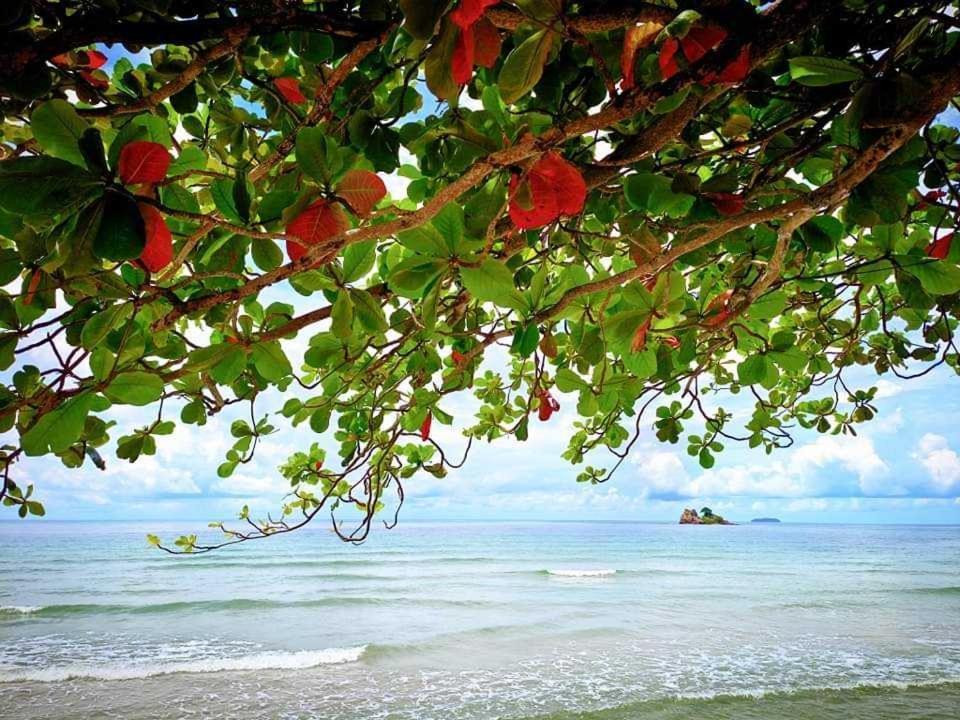 ทีพักติดหาดแหลม​แม่พิมพ์​Mantra Condo​ Rayong​ Ban Ang Extérieur photo